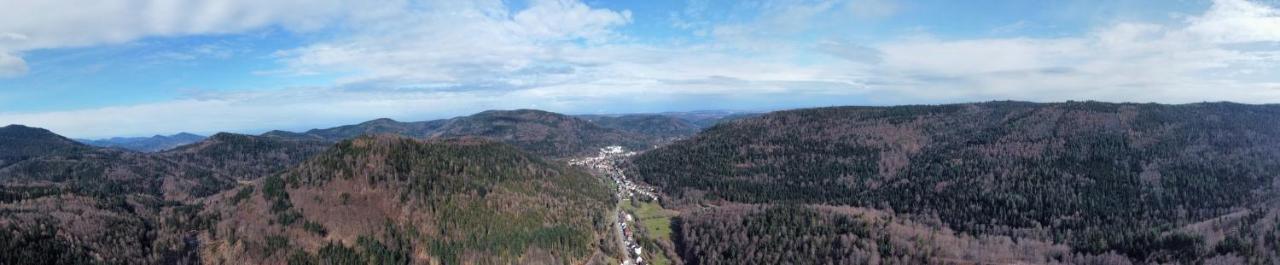 Black Forest Apartment Bad Herrenalb Eksteriør bilde