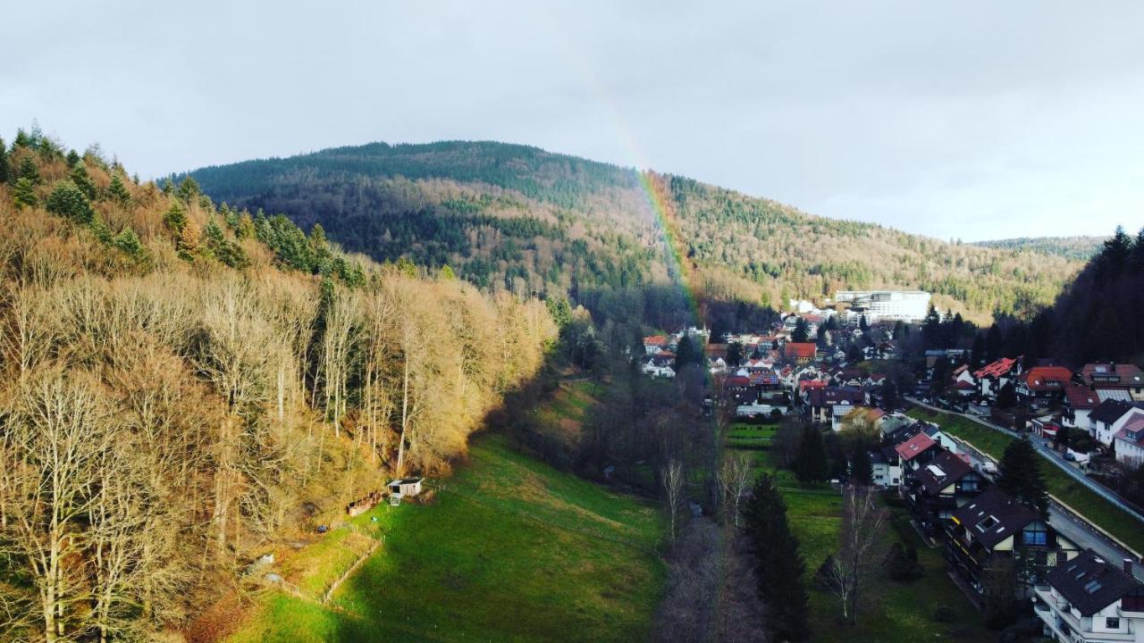 Black Forest Apartment Bad Herrenalb Eksteriør bilde