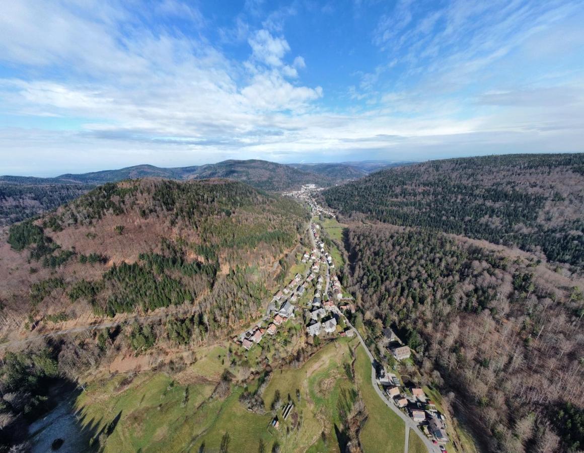 Black Forest Apartment Bad Herrenalb Eksteriør bilde