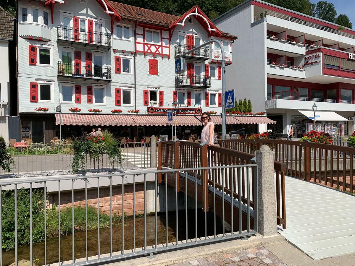 Black Forest Apartment Bad Herrenalb Eksteriør bilde